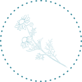 Our super herb Chamomile