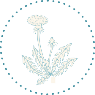 Our super heb dandelion