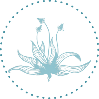 Our super herb plantain