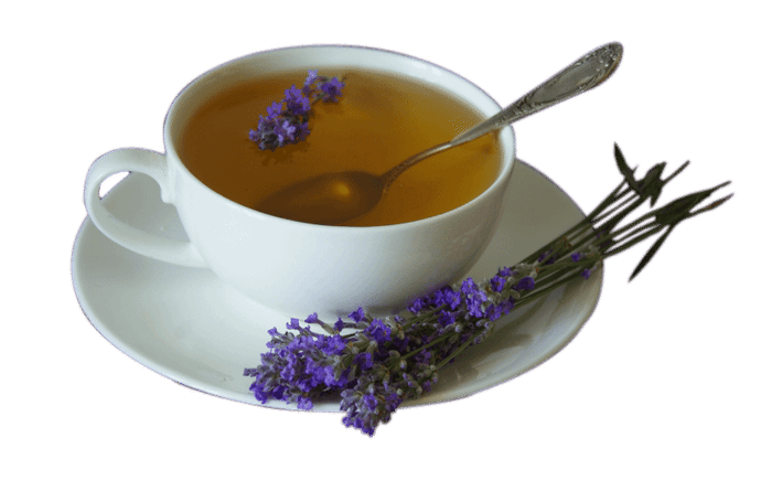 Top 10 Fun Facts about Lavender